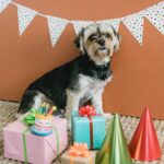4th Birthday Wishes for Dog